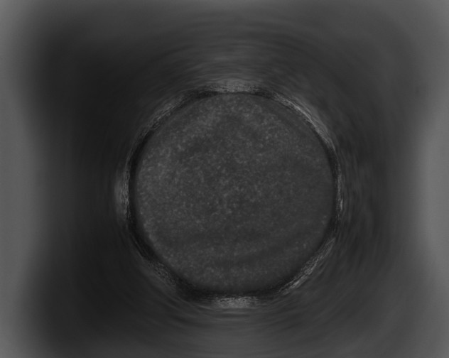 X0000100190202200806201301