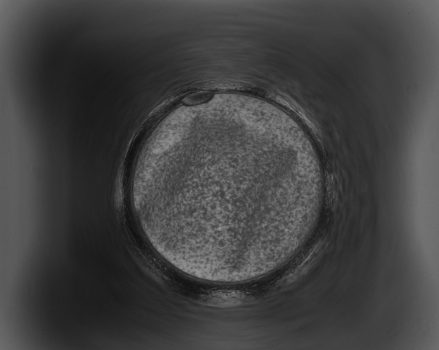 X0000100190203200806201301