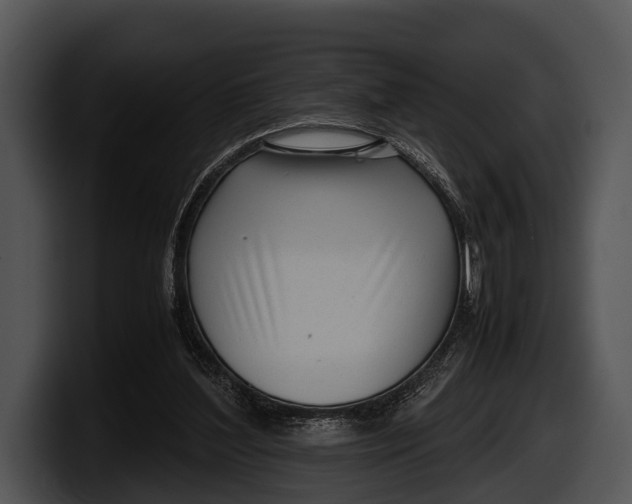 X0000100190204200806201301