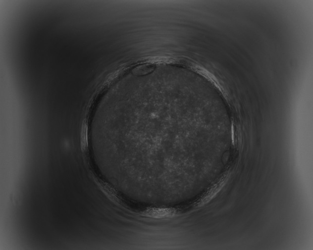 X0000100190205200806201301