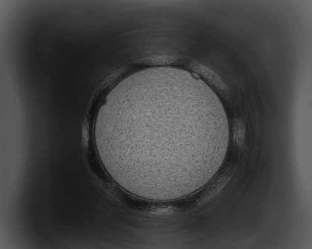 X0000100190206200806201301