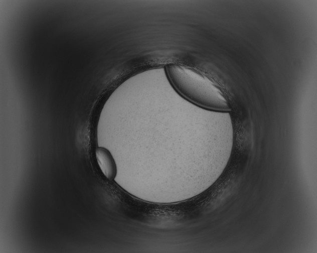 X0000100190207200806201301