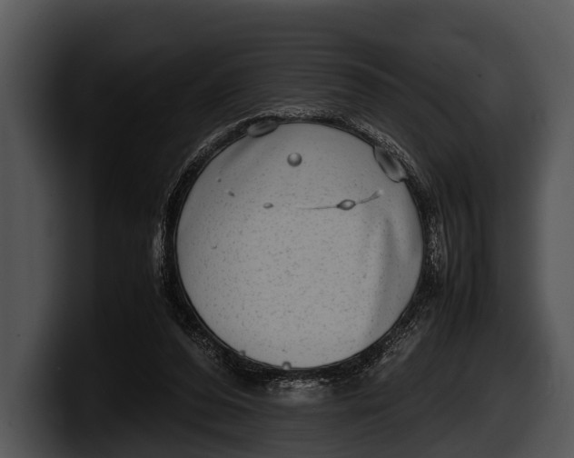 X0000100190208200806201301