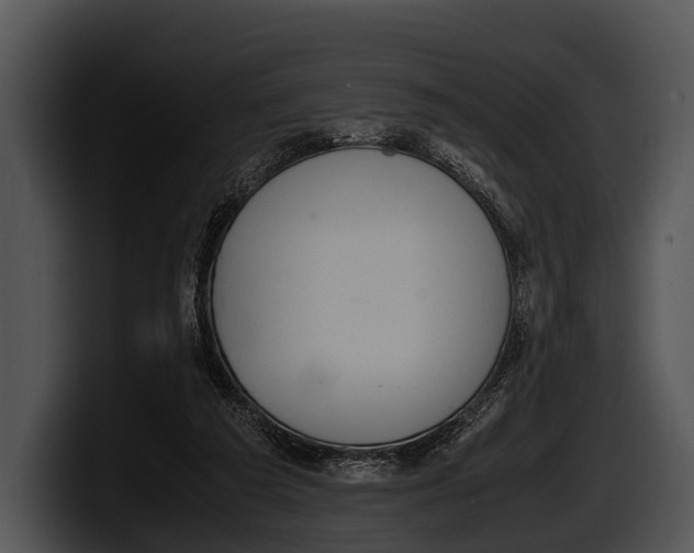 X0000100190209200806201301