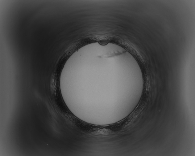 X0000100190210200806201301