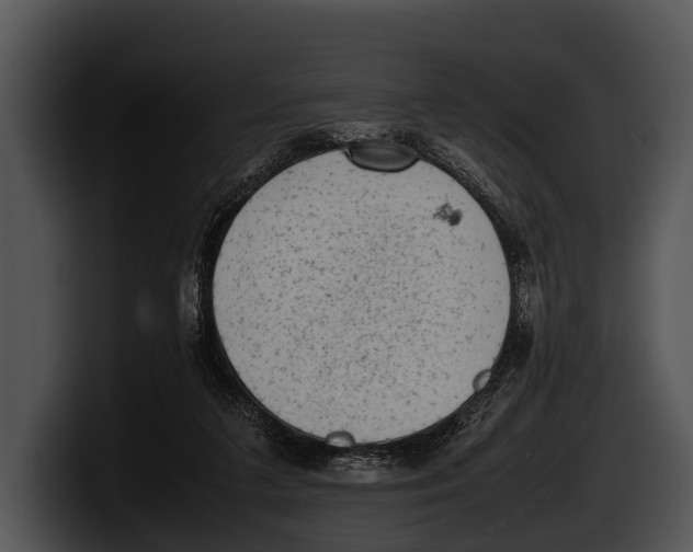 X0000100190211200806201301