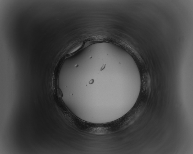 X0000100190212200806201301
