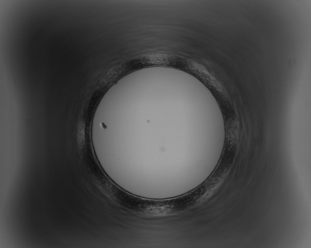 X0000100190213200806201301