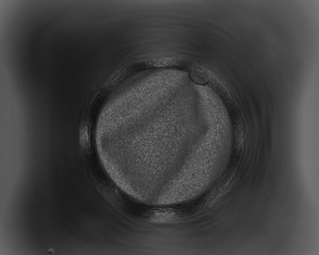 X0000100190214200806201301