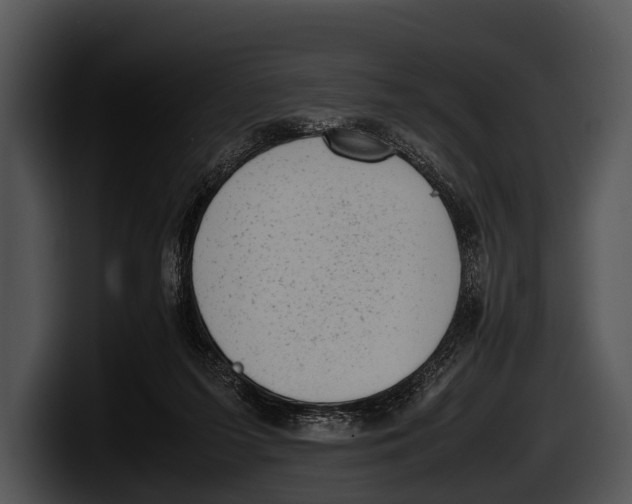 X0000100190215200806201301