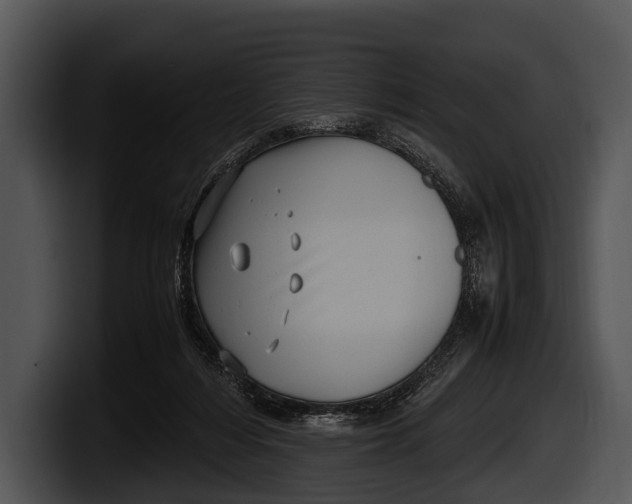X0000100190216200806201301