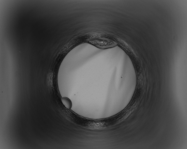 X0000100190217200806201301