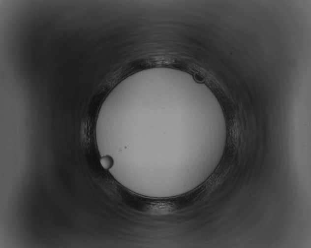 X0000100190218200806201301