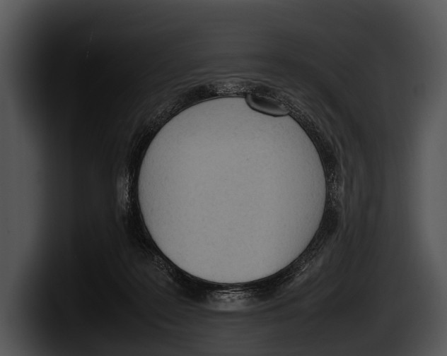 X0000100190219200806201301