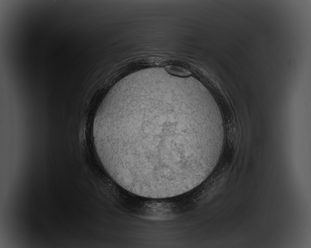 X0000100190221200806201301