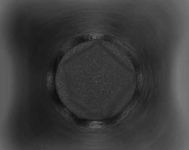 X0000100190222200806201301