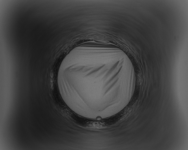 X0000100190223200806201301