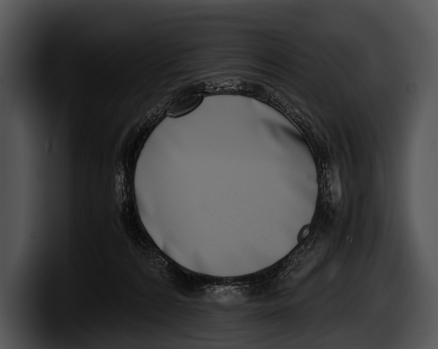 X0000100190224200806201301