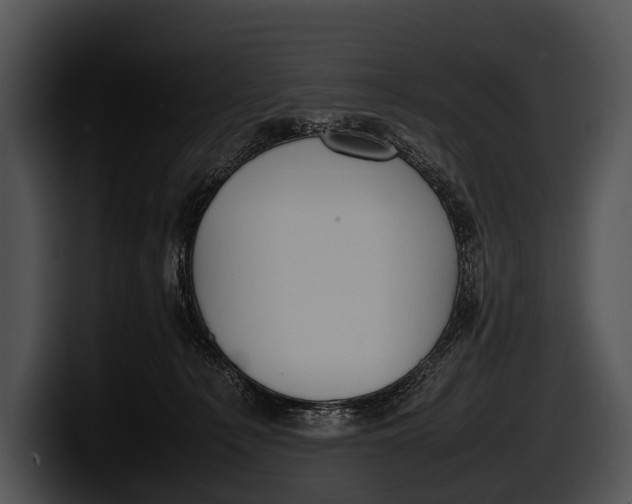 X0000100190225200806201301