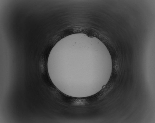 X0000100190226200806201301