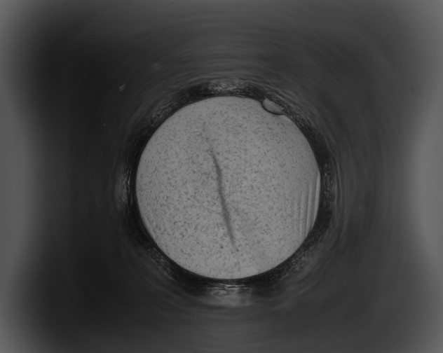 X0000100190227200806201301