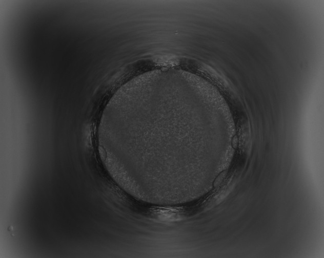 X0000100190229200806201301