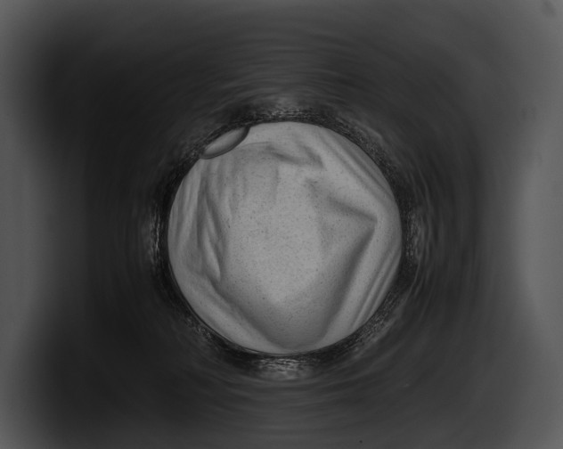 X0000100190230200806201301