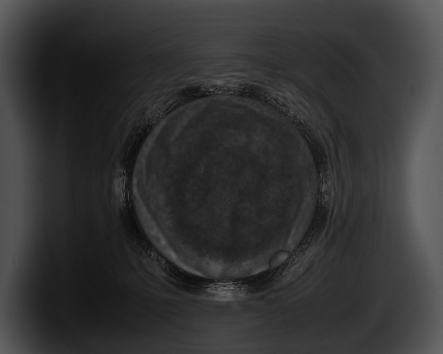 X0000100190231200806201301