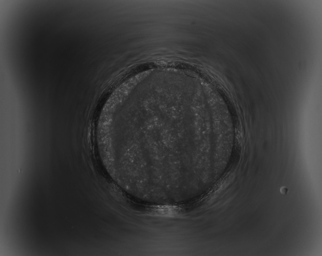 X0000100190233200806201301
