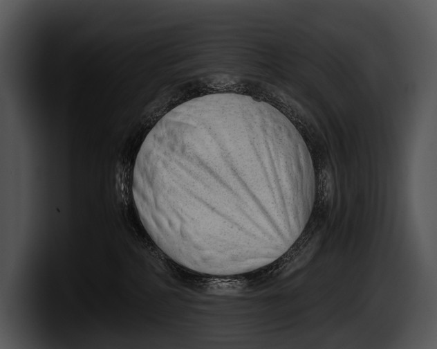X0000100190234200806201301