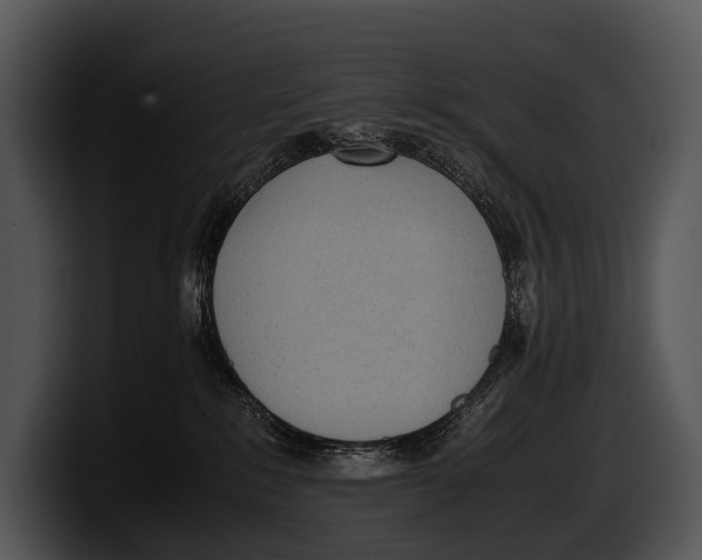 X0000100190235200806201301