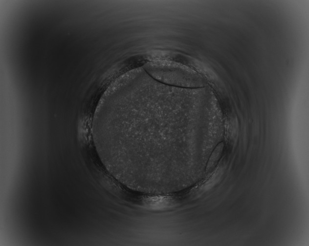 X0000100190237200806201301