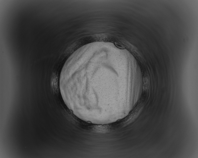 X0000100190238200806201301