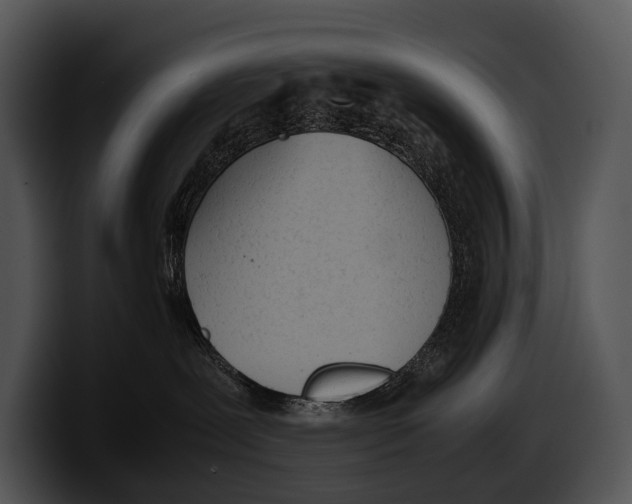 X0000100190239200806201301