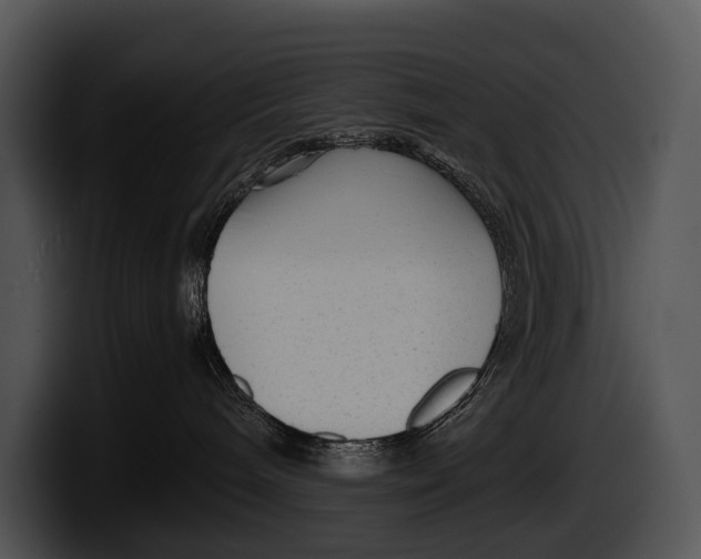 X0000100190240200806201301