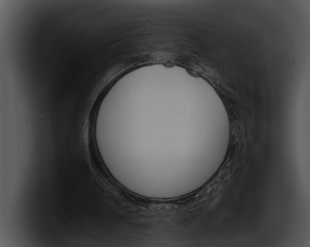 X0000100190242200806201300