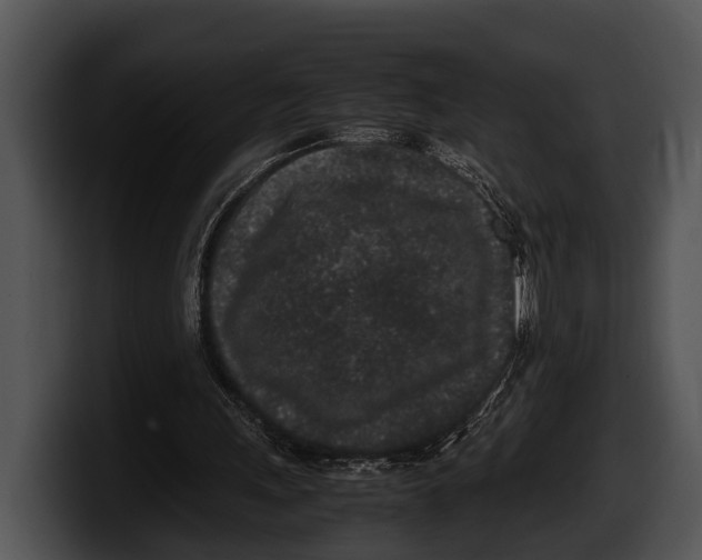 X0000100190243200806201300