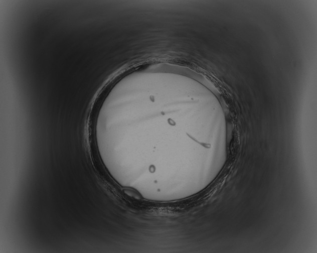 X0000100190244200806201300