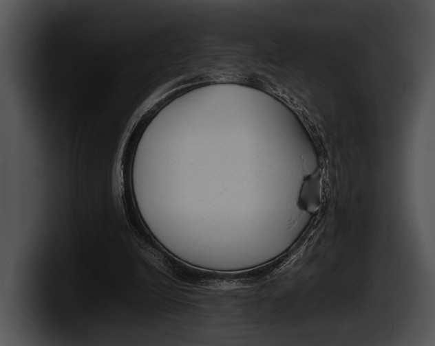 X0000100190246200806201300