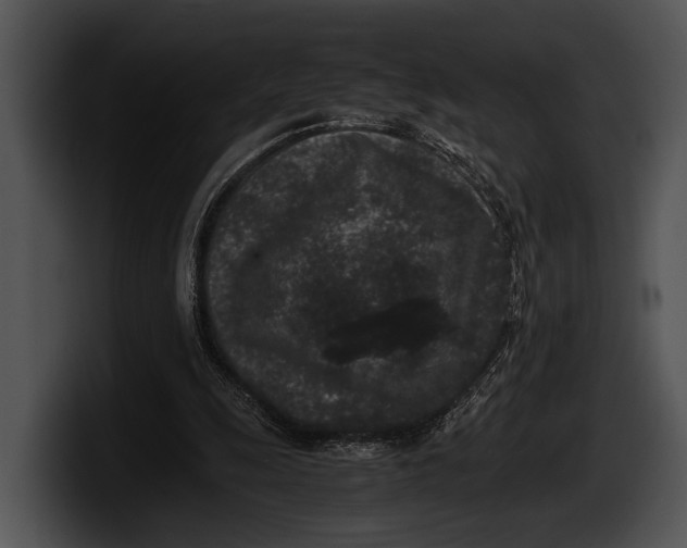 X0000100190247200806201300