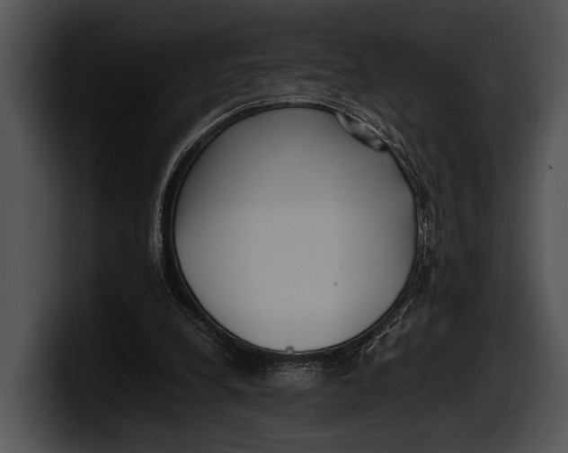 X0000100190248200806201300
