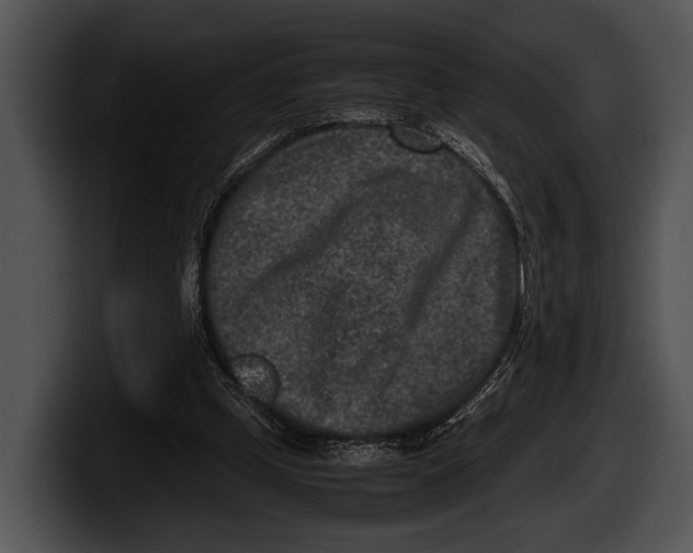 X0000100190249200806201300