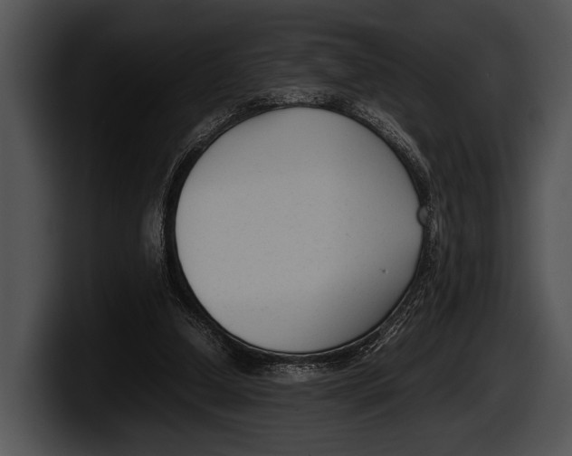 X0000100190250200806201300