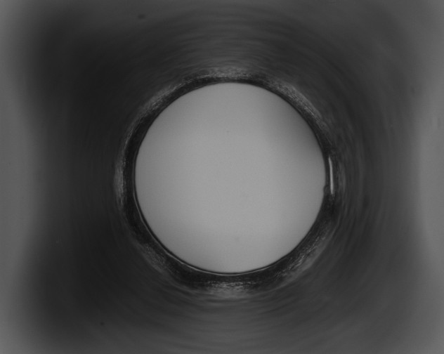 X0000100190252200806201300