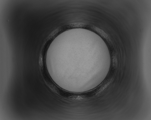 X0000100190254200806201300