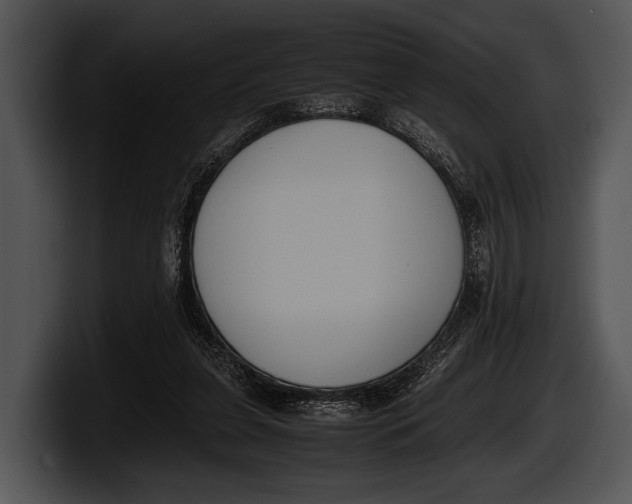 X0000100190255200806201300