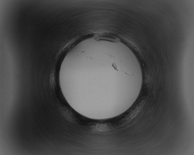X0000100190256200806201300