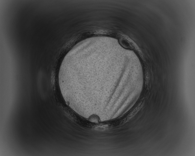 X0000100190257200806201300