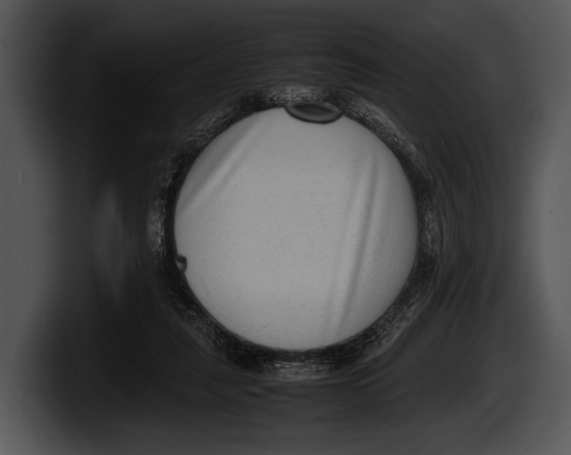 X0000100190259200806201300