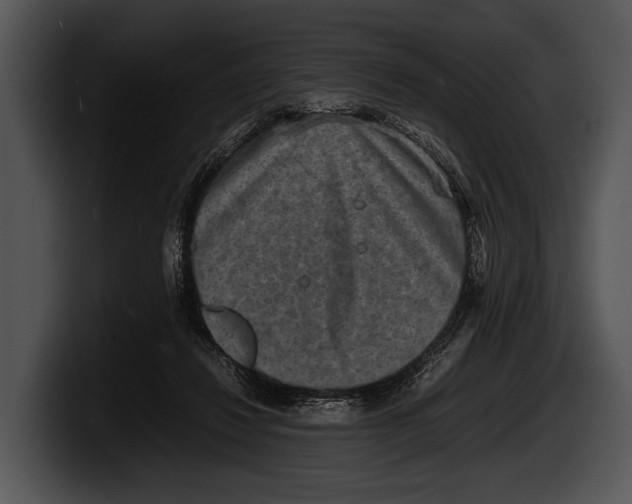 X0000100190260200806201300